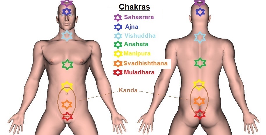 Prana, Chakras, and Nadis  Vital Life Energy Distribution