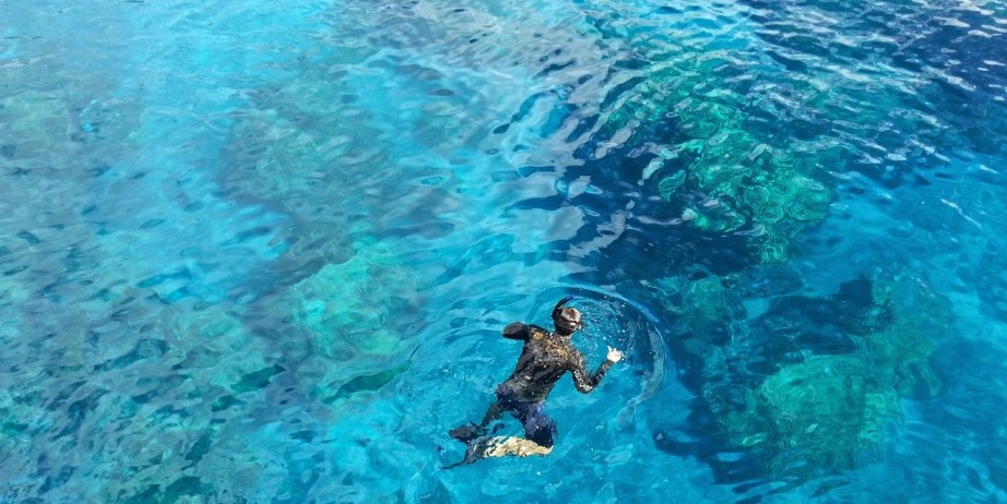 Snorkeling | Enjoying Underwater Life