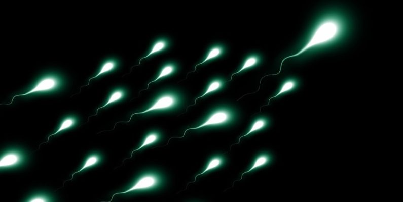 Sperm Obstructions in the Male Genital System | Cause and Remedies