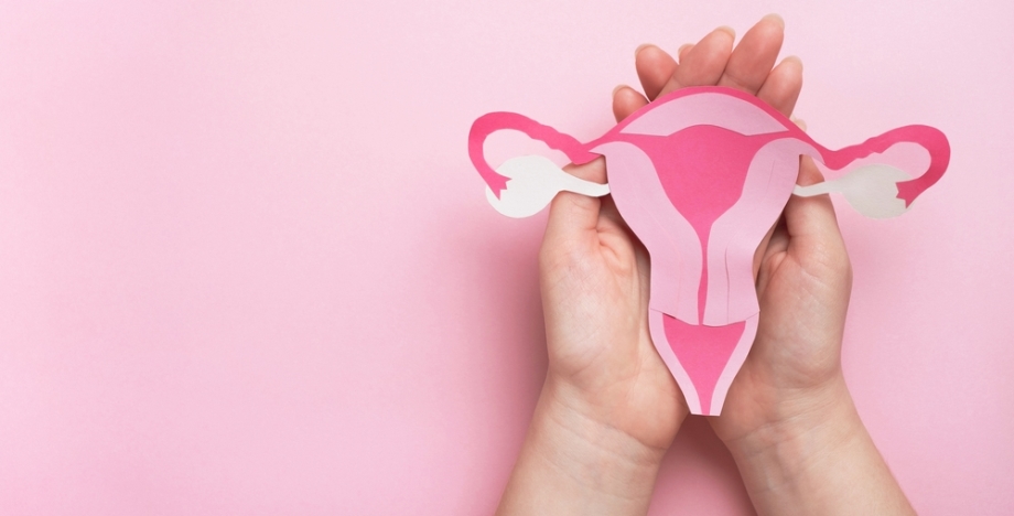 Woman holding model of uterus in hands