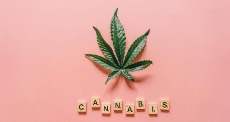 Navigating Cannabis Insurance: Protecting Your Business in a Growing Industry