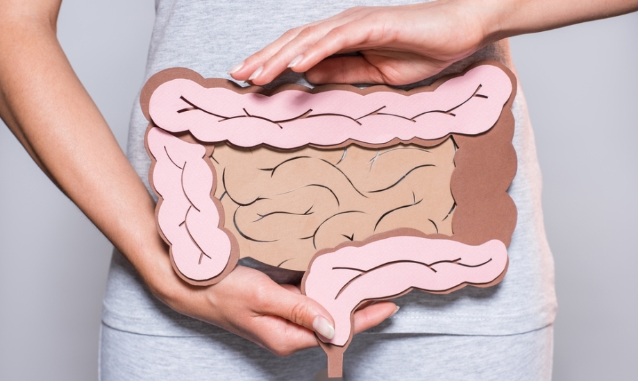 Picture showing colon