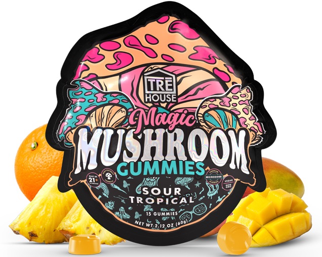 Mushroom gummies