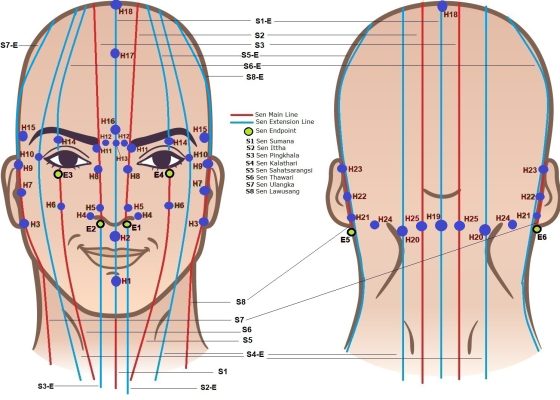 Ear Acupressure Points in Thai Massage | Chart and Explanation