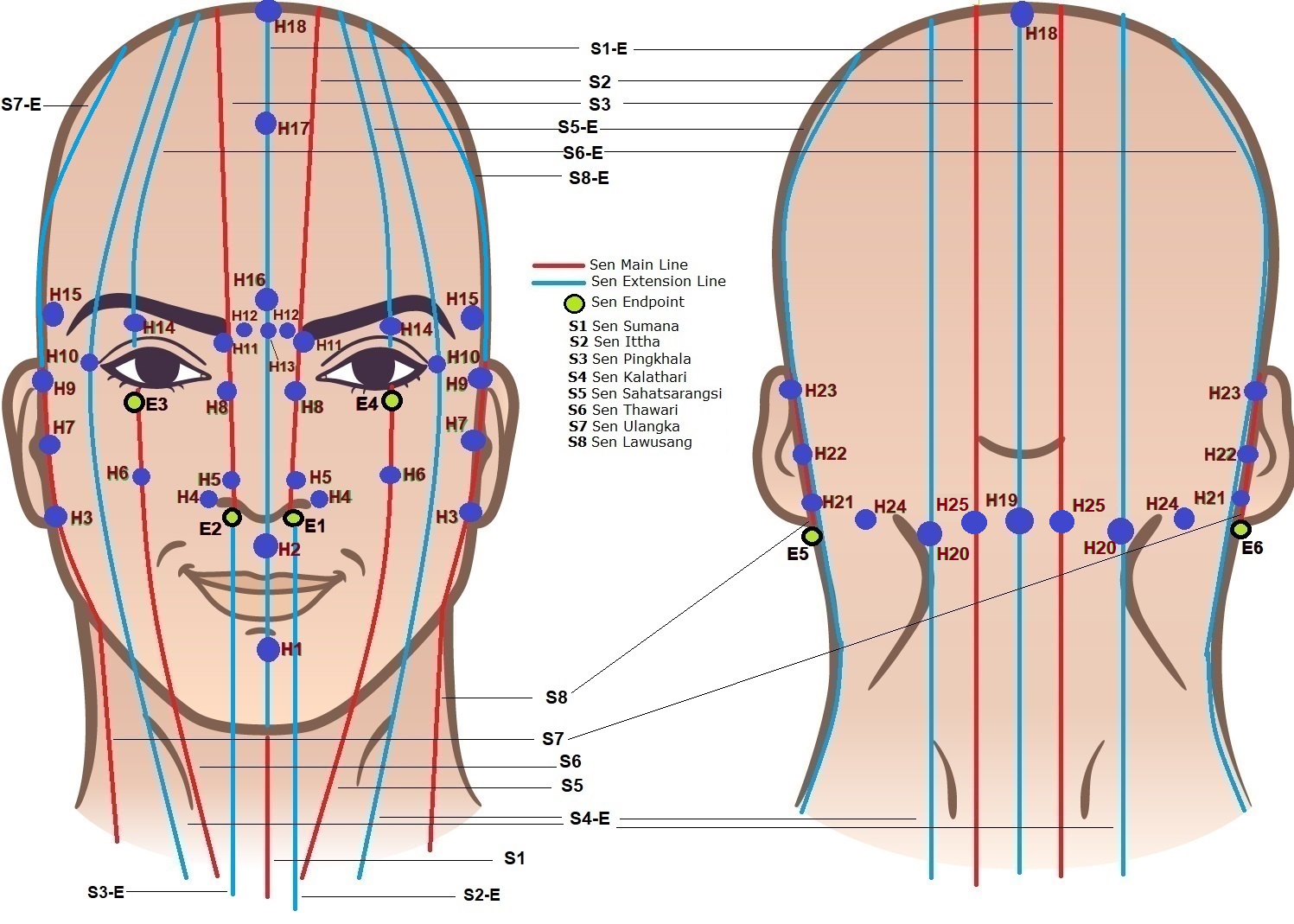 Thai Acupressure Chart for the Face and Head