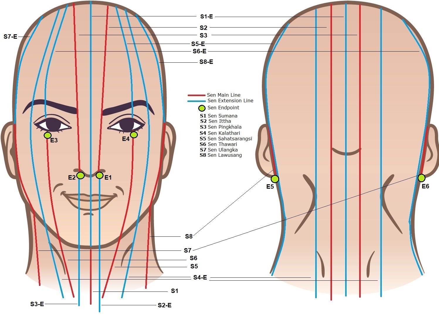 Thai Massage - Sib Sen Energy Lines Chart for the Face and Head