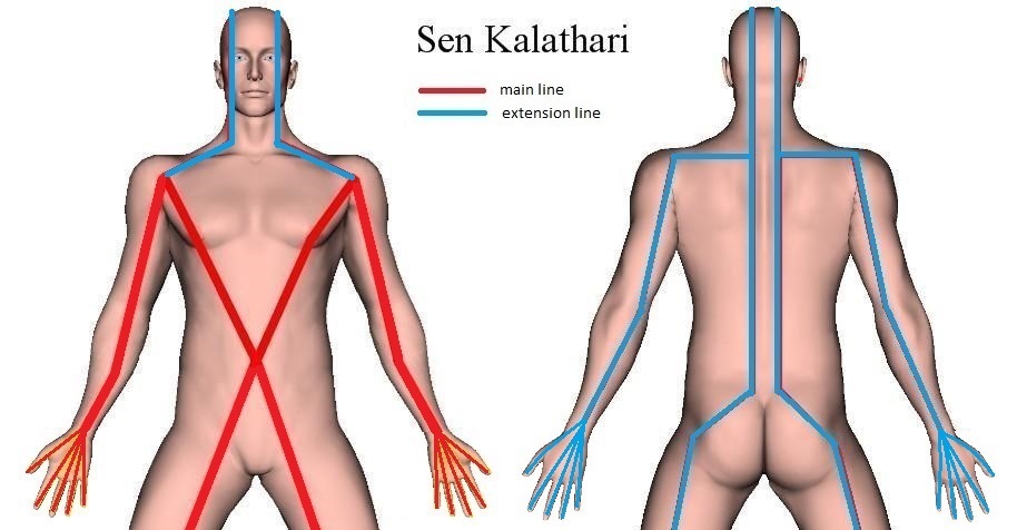 Chart of Sen Kalathari