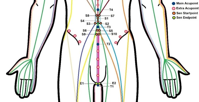 Thai Acupressure Points Project | Books and Videos