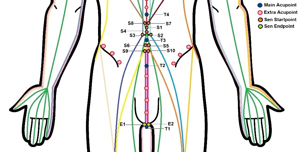 Acupressure point chart of the abdominopelvic region