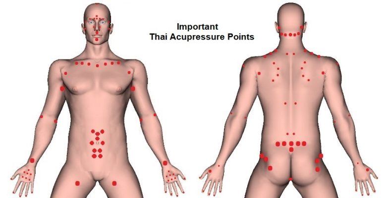 Thai Massage Acupressure Points – Chart Overview