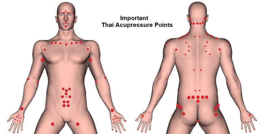 Thai Massage Acupressure Points Chart Overview