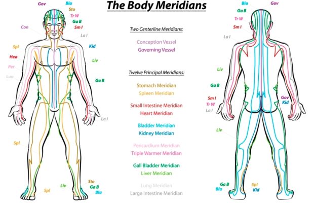 Traditional Chinese Medicine Meridians | Qi Life Force Channels