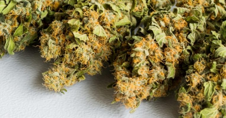 How To Buy Weed Online At A Low Cost This Year?