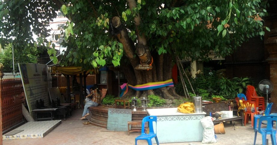 Tying the Khwan of a tree at a temple area