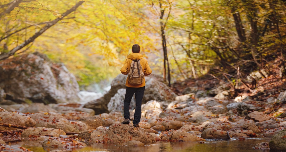 Man alone in forest