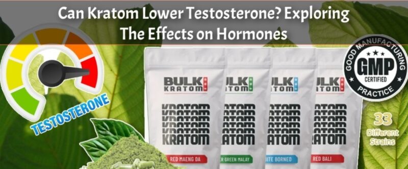 Can Kratom Lower Testosterone? Exploring The Effects on Hormones